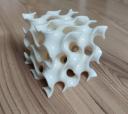 20250401_085828.jpg